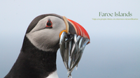 Faroe Islands, viaja a tu propio ritmo
